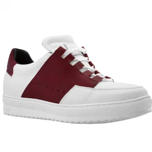 Uomo GUIDOMAGGI Sneakers>Colosseum